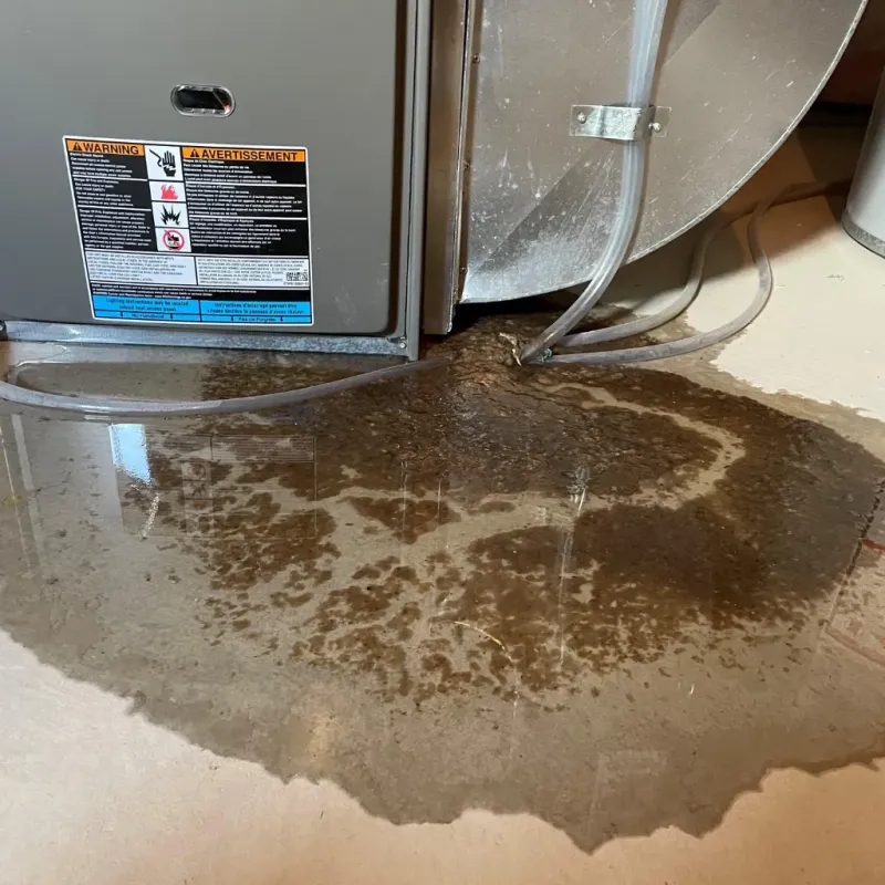 Appliance Leak Cleanup in Mahoning County, OH